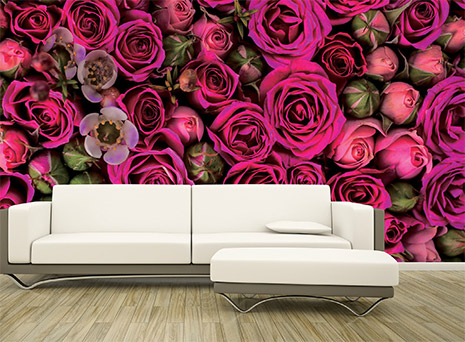 Image of a printed wall graphic of flowers hung behind a coach