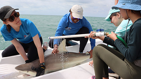 <h2 dir="ltr">Igniting a Spark: University of Miami Empowers Female Students with Immersive STEM Experiences; Canon U.S.A. provided camera equipment and training to capture a day-long expedition</h2>

