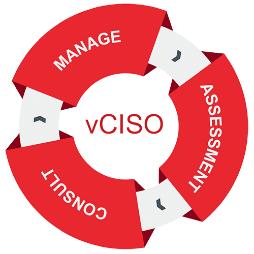 Image of the vCISO workflow